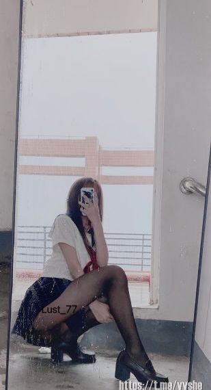 肥猫寻亲记_高清完整版高清视频观看